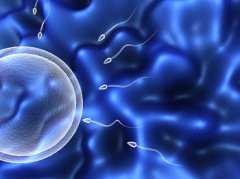 32岁女性卵巢早衰原因&供卵代怀生男孩,孕期肝功能转氨酶高严重吗