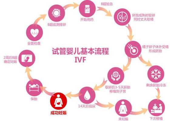 遂川县正规代孕价格表,「做试管婴儿视频全部过程」如何避免自己的子宫内膜