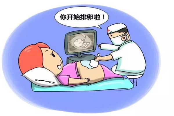 遂川县正规代孕价格表,「做试管婴儿视频全部过程」如何避免自己的子宫内膜