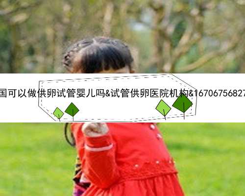 中国可以做供卵试管婴儿吗&试管供卵医院机构&1670675682725